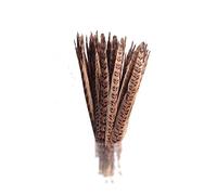 N-K PULABO 6pcs Natural Pheasant Feathers,Natural Decorative Feathers for Arts and Crafts Hats Clothing Decoration ect,30-35cm Naturalcolor Creative and Useful Durable
