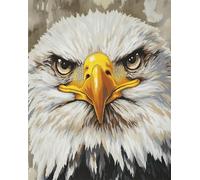 N.LANSHAN 11CT Animal DIY Embroidery Kits Fantasy Eagle Cross Stitch Kits Stamped，Embroidery Set DIY Hand Needlework Art for Beginners Adults 50x70cm