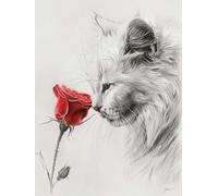 N.LANSHAN 11CT Animal DIY Embroidery Kits for Adults Cat and Roses Embroidery Cross Stitch Kits Stamped Pattern Starter Set Needlework Art Accessories Wall Decoration 60x80cm