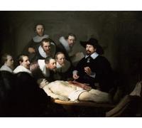 N.LANSHAN 11CT DIY Stamped Cross Stitch Kits for Adults Famous Oil Painting，Doctoral Anatomy Class Pre-Printed Embroidery Set DIY Hand Needlework Art Stamped Cross Stitch Kits for Beginners 60x80cm