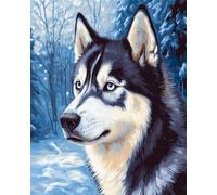 N.LANSHAN 11CT Dog Animal DIY Cross Stitch Kits for Adults Husky in The Snow Counted Cross Stitch Kits for Adults Beginners，Stamped Printed Patterns Embroidery Set for Wall Art Decor 30x40cm