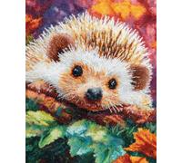 N.LANSHAN Animal DIY Latch Hook Kit Large Rug Cartoon Hedgehog Latch Hook Kits DIY Rug Making Crafts with Colorful Pattern Printed,Embroidery Sewing Set 60x90cm