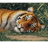N.LANSHAN Animal DIY Latch Hook Kits Tiger Portrait DIY Rug Making Set,Cross Stitch Kit Carpet Making Needlework for Beginners,Home Decor 52x38cm