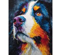 N.LANSHAN Animal Diy Latch Hook Rugs Kits Colored Bernese Mountain Dog Latch Hook Kits For Beginners,Seniors,3D Diy Enthusiasts Rug Making Set 80x115cm