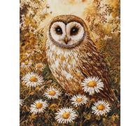 N.LANSHAN DIY Latch Hook Rug Kits Cartoon Owl DIY Craft Kit Animals and Flowers Latch Hook Kits DIY Rug Making Crafts with Colorful Pattern Printed,Embroidery Kit Sewing Kits 55x75cm