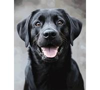 N.LANSHAN DIY Rug Making Kit Labrador Retriever Animal Portrait Latch Hook Rug Making Kit DIY Craft Set Tapestry Cushion Pre-Printed Patterns 55x75cm