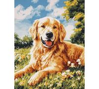 N.LANSHAN Dog Animal DIY Latch Hook Rug Kits Golden Retriever Portrait Latch Hook Kits for Beginners,Seniors,3D DIY Enthusiasts Rug Making Set 52x38cm