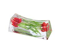 N&N Find Japan Japanese Chopstick Rest/Spoon Fork Knife Holder with Real Flower in Acrylic (Asparagus Red)