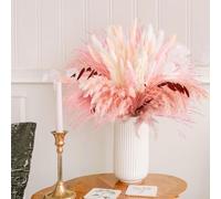 N&T NIETING 85pcs Natural Pampas Grass Boho Decor, Pink