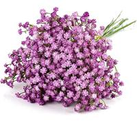 N&T NIETING Gypsophila Artificial Flowers, Baby Breath Flowers Artificial 10Pcs Fake Gypsophila for DIY Wedding Bouquet Party Table Centerpieces Flower Arrangements and Home Decor(Purple)
