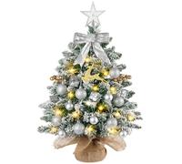 N&T NIETING Mini Christmas Tree with Lights, 61CM Table Top Tree with Star Ornaments, Artificial Xmas Tree with Snow for Home Office Desktop Party Indoor Christmas Decorations(Snow Green)