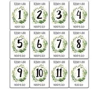 NA 12 Pcs Baby Monthly Milestone Cards 1-12 Months A5 Green Paper Cards Boy Girl Photo Keepsakes for Infant