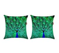 NA 2 Pcs Cushion Covers Super Soft Cushion Covers Peacock Painting Throw Pillowcase Covers for Car Home Sofa Bed