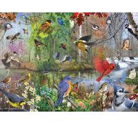 NA - Birds of the Season 1000 Piece Puzzle - New Paperback - Q245z