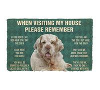 NA Door Mat Indoor Doormat Please Remember Clumber Spaniel House Rules Custom Doormat Thousewarming gifts home decor