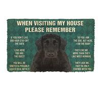 NA Door Mat Indoor Doormat Please Remember Flat Coated Retriever Dogs House Rules Doormat Thousewarming gifts home decor