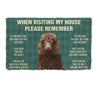 NA Door Mat Indoor Doormat Please Remember Irish Water Spaniel Dogs House Rules Custom Doormat Thousewarming gifts home decor