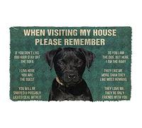 NA Door Mat Indoor Doormat Please Remember Patterdale Terrier Dogs House Rules Doormat Thousewarming gifts home decor