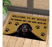 NA Door Mat Indoor Front Dachshund Welcome To My House - The Humans Just Live Here With Me Doormat Welcome Mat Home Room Decor Decoration Gifts
