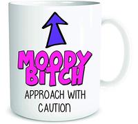 NA Funny Rude Mug Coffee Mugs Moody Bitch Girlfriend Wife Gift Birthday Present Work Office Secret Santa Joke Cup