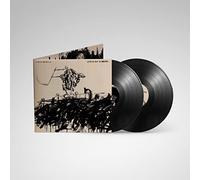 Avenged Sevenfold - Life Is But A Dream…(2LP Vinyl) [VINYL]