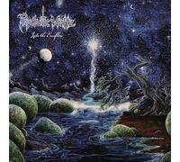 Into The Everflow (Re-Issue 2024) [VINYL]