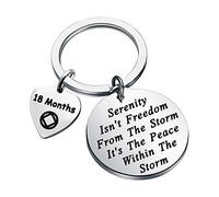 NA Recovery Gift 1 Year 18 Months 2 Years 3 Years NA Sobriety Anniversary Keychain Serenity Peace Within The Storm NA Recovery Serenity Prayer Sobriety Gift (18 months-4)