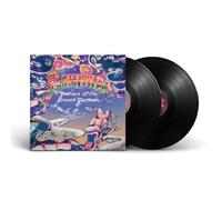 Return Of The Dream Canteen 2LP Red Hot Chili Peppers Black One Size