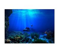 NA The Underwater World Fish Tank Background Decoration Poster Fish Tank Background Sticker Aquarium Poster for Fish Tank 61 * 30cm
