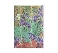 NA - VAN GOGHS IRISES - New other - 73 - Y245z
