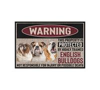 NA Warning - English Bulldog Doormat This Property Is Protected Indoor And Outdoor Doormat Warm House Gift Welcome Mat Gift For English Bulldog Lovers