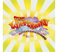The Waterboys - Book of Lightning [VINYL]
