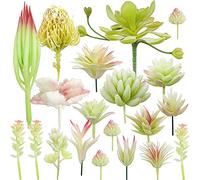 NA Woohome 20 PCS Artificial Succulents Picks Creamy White Artificial Succulent Plants, Mixed Fake Succulent Assortment in Flocked for Indoor and Outdoor Home Decor Floral Arrangements