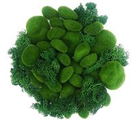 NA Woohome Artificial Moss Fake Moss Decorative, 30 PCS Green Moss Balls and 30 Gram Preserved Green Moss for Floral Arrangements, Fairy Gardens, Crafting