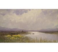 NAAYRASA Famous Painting HD Print Picture Abstract Print Artwork Connemara Landscape by William Percy French Mural Poster for Home Decor 60x90cm