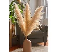 nabz Pampas Grass Decor 120 cm - Pack of 3 Tall Large and Fluffy for Home, Office, Wedding Events
