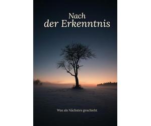 Nach der Erkenntnis: Was als Nächstes geschieht (Bewusstsein-Serie)