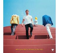 Nachtbraker - When You Find a Stranger in the Alps [VINYL]