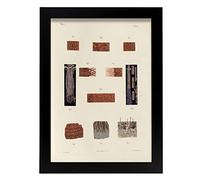 Nacnic Hair follicles and sebaceous glands Poster art, Size A4 No frame. Vintage style Print for the decoration of living room walls, bedrooms, offices...