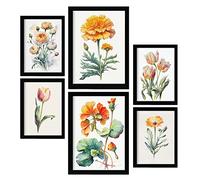 Nacnic Orange Flowers Posters. Full Colour Nature and Botany Prints with Floral Themes over Pure White Backgrounds. Aesthetic Illustrations for Interior Design and Decoration. A4 & A3.