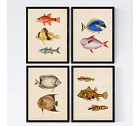 Nacnic Set 4 sheets of fish vintage colorful effect. Atlantic. Composition of 10 different fish in A3 size, background old paper vintage poster paper 250 gr high quali