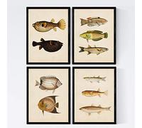 Nacnic Set 4 sheets of fish vintage colorful effect. Bengal. Composition of 10 different fish in A4 size, vintage background old paper Poster paper 250 gr