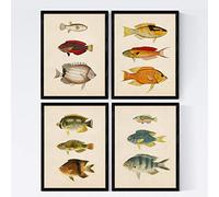 Nacnic Set 4 sheets of fish vintage colorful effect. Mahava. Composition of 12 different fish in A4 size, vintage background old paper