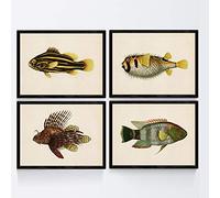 Nacnic Set of 4 plates with colorful fish vintage effect brown yellow tone. FOGI. 4 different fish composition in A4 size, vintage background old paper Poster paper 25