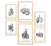 Nacnic Set of 6 posters of internal organs. Collection of plates with aesthetic collage for interior decoration. Sizes A3 and A4. With wooden frame.