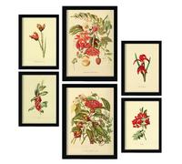 Nacnic Set of 6 Red Flowers Posters. In Vintage Prints Decorative Prints for your living room, bedroom, home. Wall art print. Sizes A4 and A3