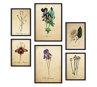 Nacnic Set of 6 Vintage flower posters. Collection of plates with aesthetic collage for interior decoration. Sizes A3 and A4. Frameless.
