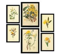 Nacnic Set of 6 Yellow Flowers 2 Posters. In Vintage Prints Decorative Prints for your living room, bedroom, home. Wall art print. Sizes A4 and A3