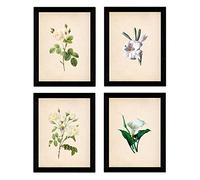 Nacnic - Vintage White Flowers Foil Pack - Decorative Nature, Botany and Plants Style Posters - Elegant and Delicate Mural Decor
