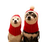 NACOCO Christmas Dog Hat Crocheted Snood Funny Pet Cap with Pompon Red Green Warm Winter Dog Hat Knit Snood Headwear for Pets (Red, L)